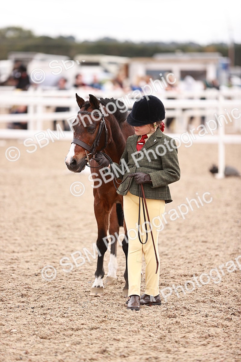 SBM_18557 - Class 421 - Childs Best Friend - Jnr