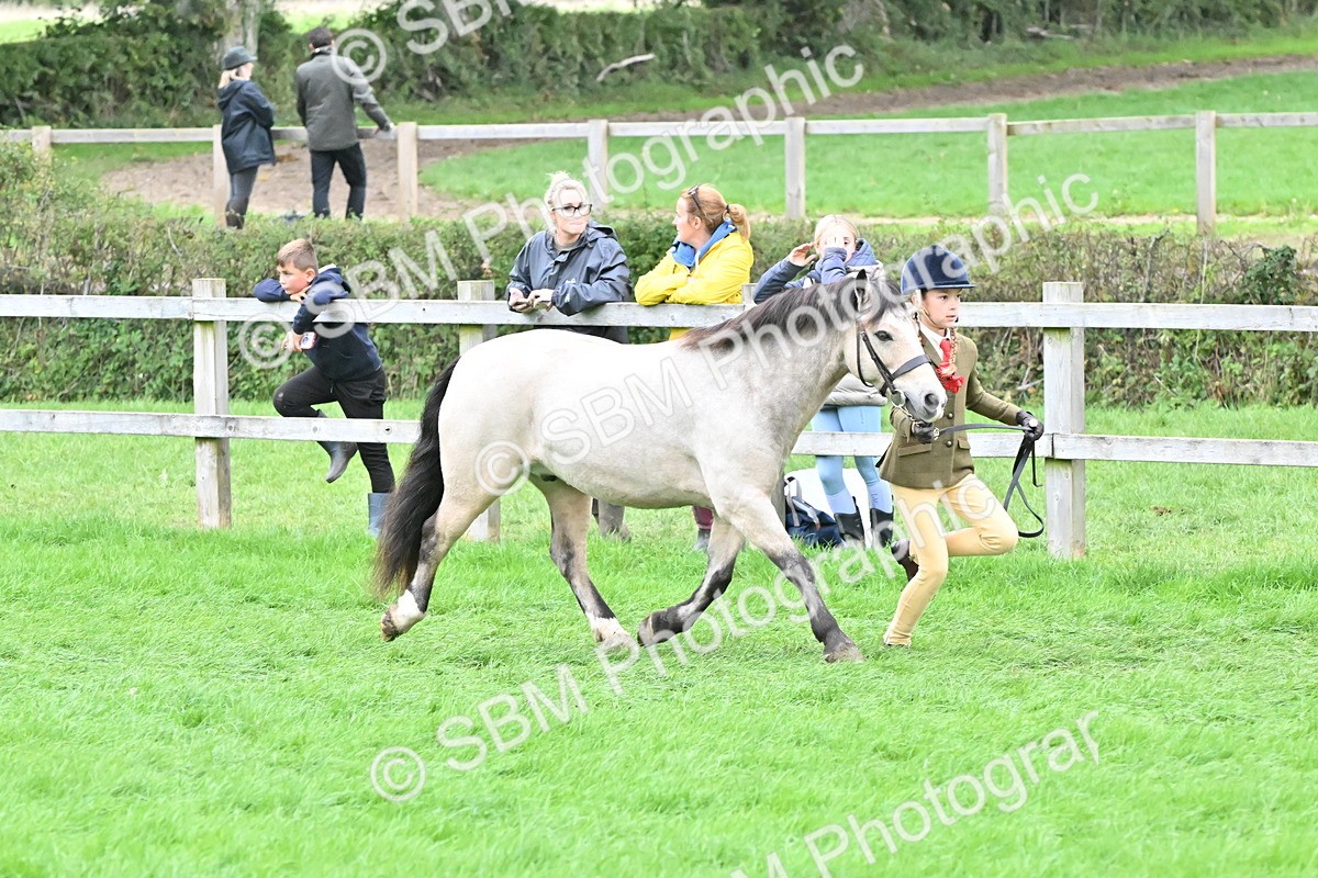SBM_68532 - S42 - Junior Handler 9-12 Years