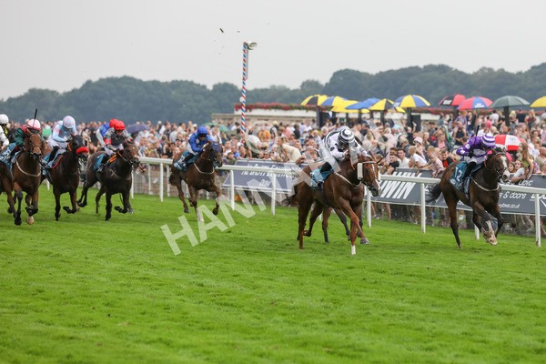 100923-Race 7-Looking For Lynda-4029 - Race 7 4.55pm Brian Taylor 50 Not Out Apprentice Handicap