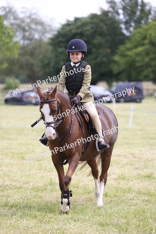 20260614-2995 - Class 22 - Open Working Hunter