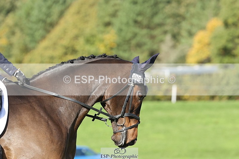 251024A-120050-10093 - D-357-Fenella.Redvers