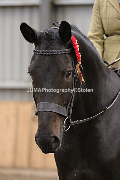 SIAL2764 - Sunday 14th Ridden