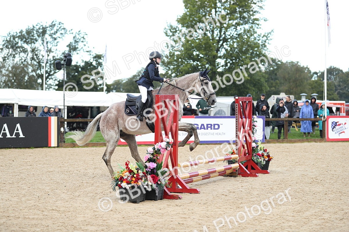 SBM_37237 - J20 - Junior Horse 50cm Championship