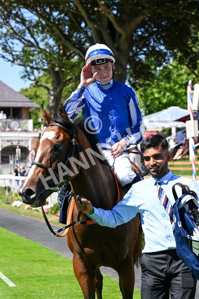 110725-Race 2-Sayidah Dariyan-0256 - Race 2 2.45pm William Hill Summer Stakes