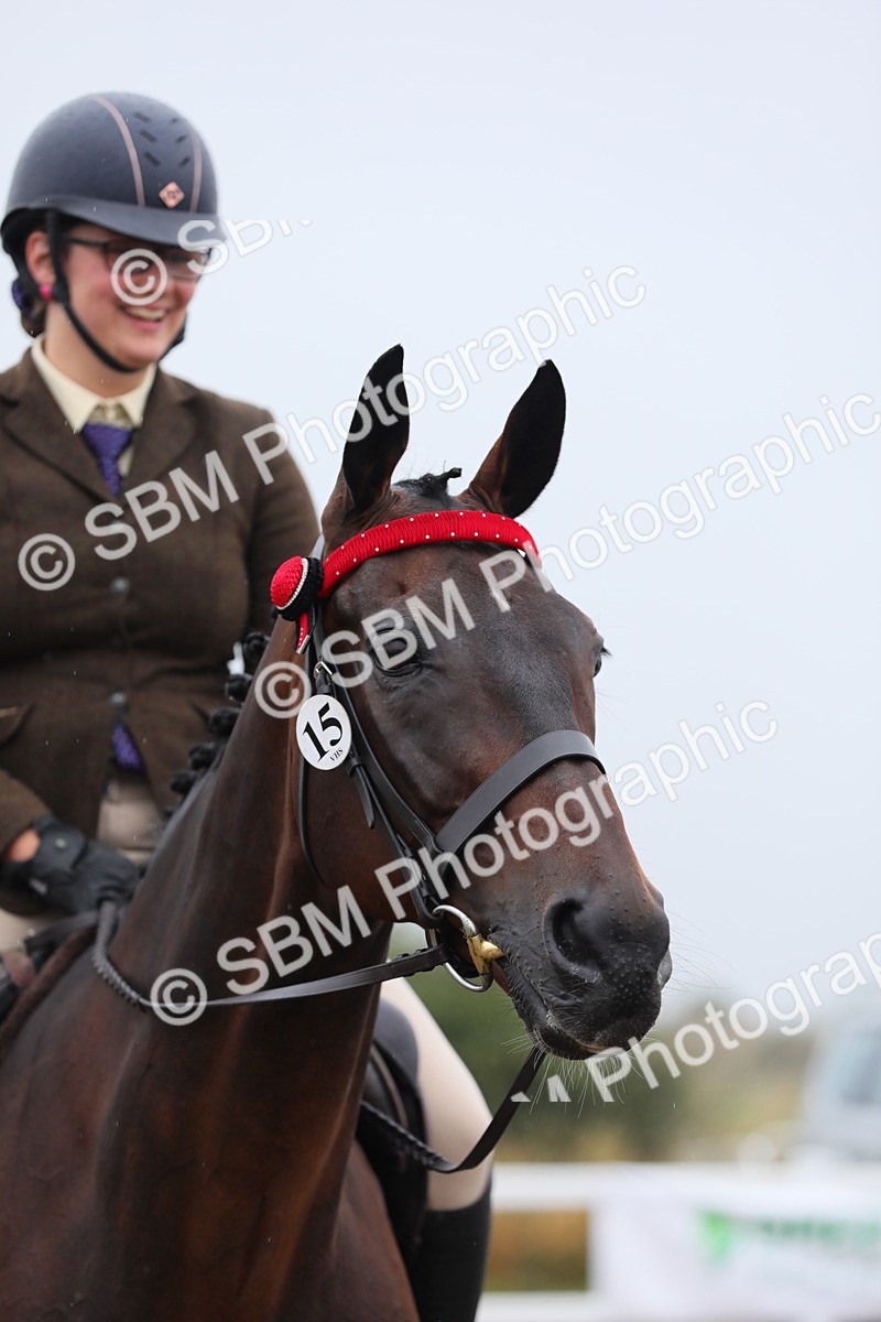 SBM_20078 - Class 802 - Ridden Groom - Helpers class