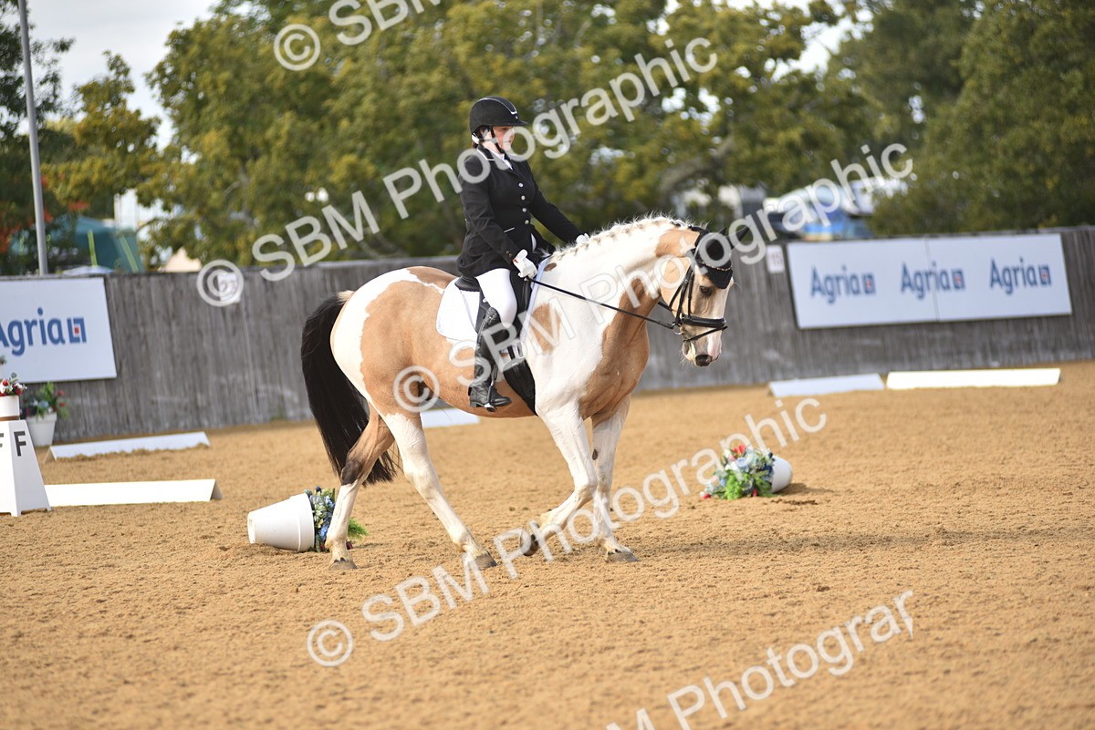 SBM_24349 - D4 - Small Tour Championship Intro 4