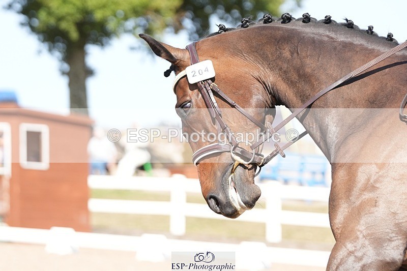 250817-154959-11812 - 204-Lysanne.VaseCafino