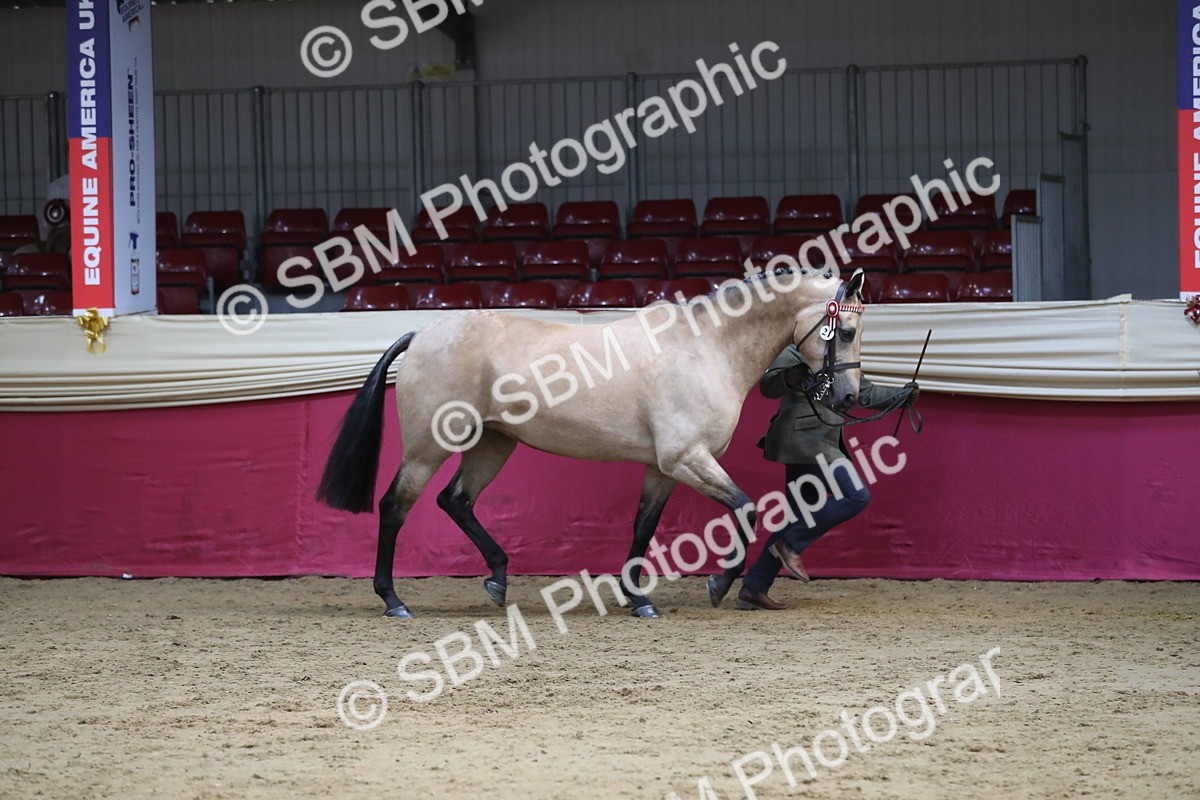 SBM_06516 - Regional IH Champ