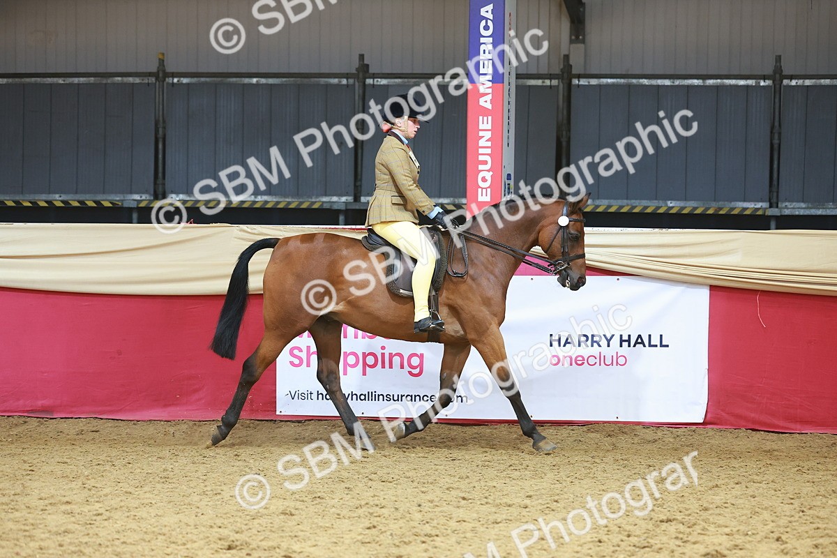 SBM_12433 - Class 103 - HOYS Veteran Qualifier - Ridden Pre Vet
