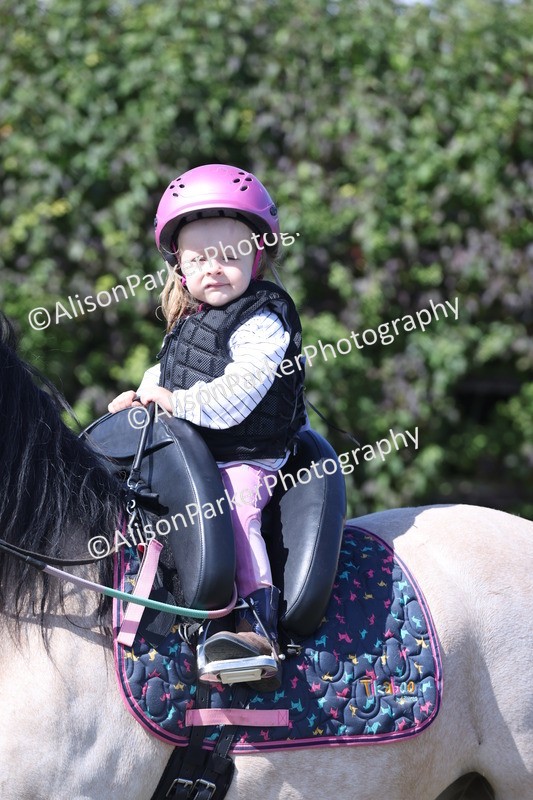 20250831-3176 - Class 24 - Absolute Beginners Pony