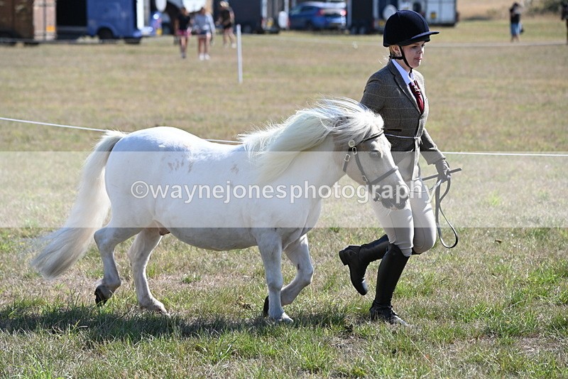 WJ6_4198 - Class 16 Condition & Turn Out