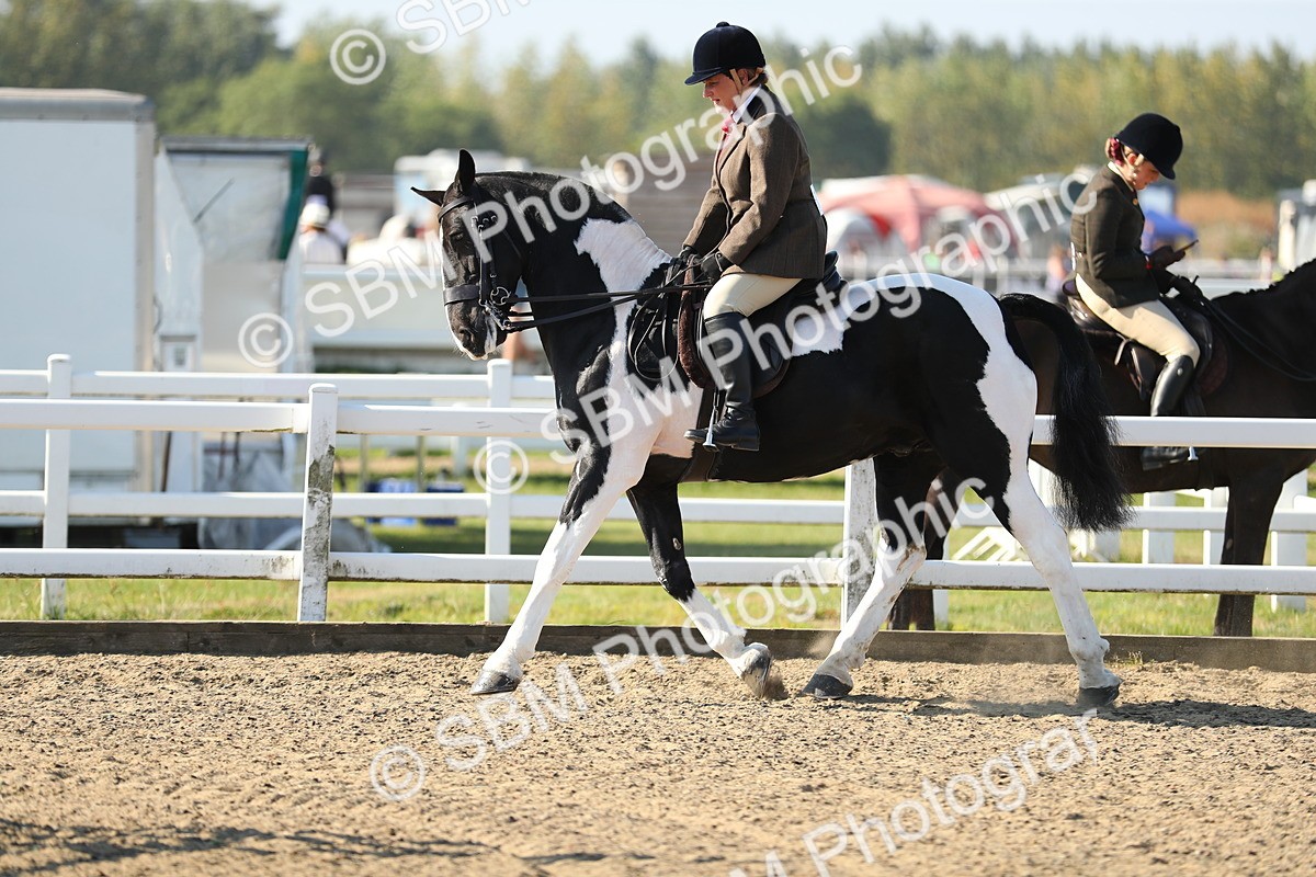 SBM_01185 - Class 42 Ridden Veteran