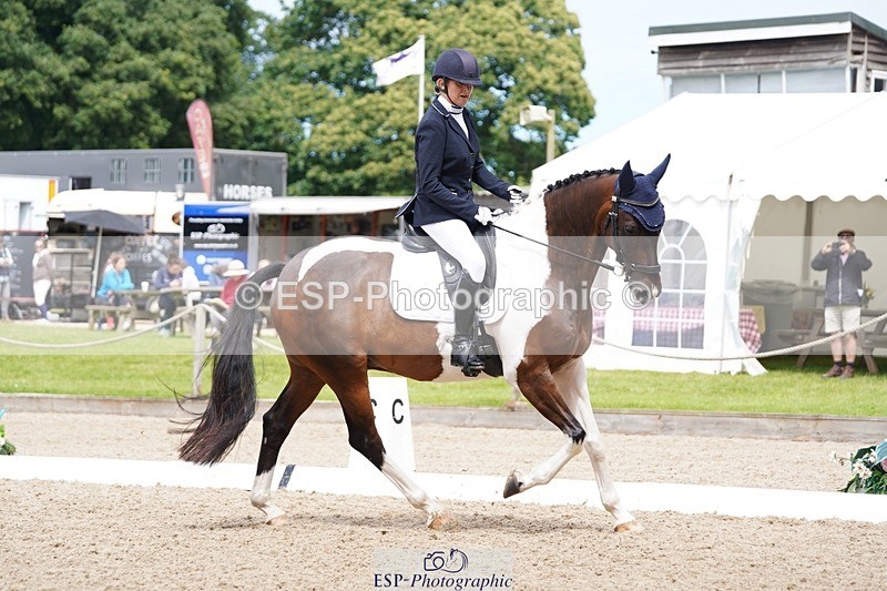 240721-113356-07838 - 124-Sophie_Savage-Two_Tone_Ted