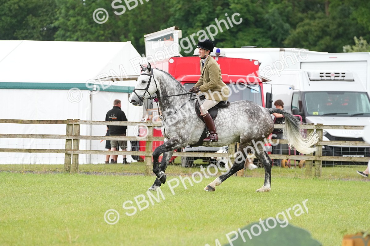 SBM_12702 - Class 97-98 - LIHS BSHA Rising Star Working Show Horse Hunter