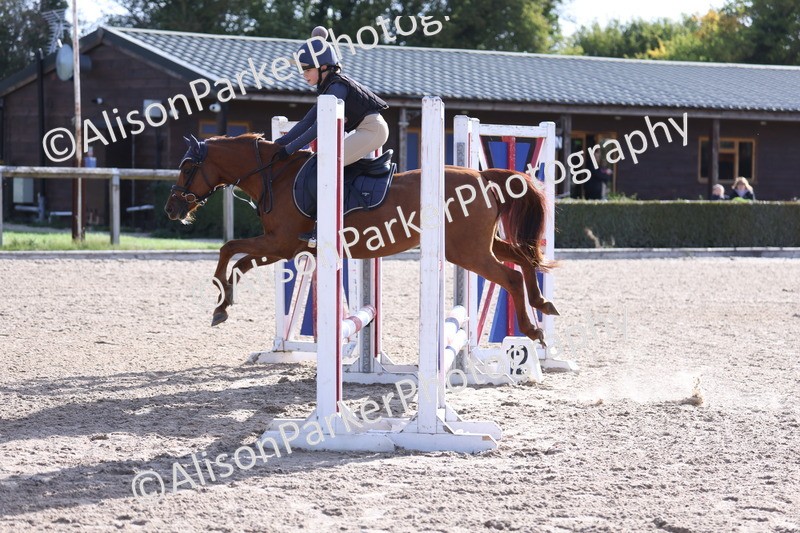 20251005-0293 - Class 3 - 60cm