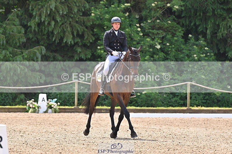 250523A-123440-06915 - C-264-Max.Warburton-EARL.DORADO