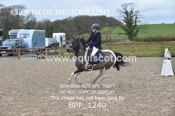 BPP_1240 - CLASS 4 Club/ Unaffiliated 80cms Open