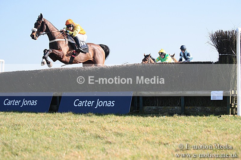 PtP 230219 294 - Vine & Craven Point-To-Point - Barbury 23/02/19