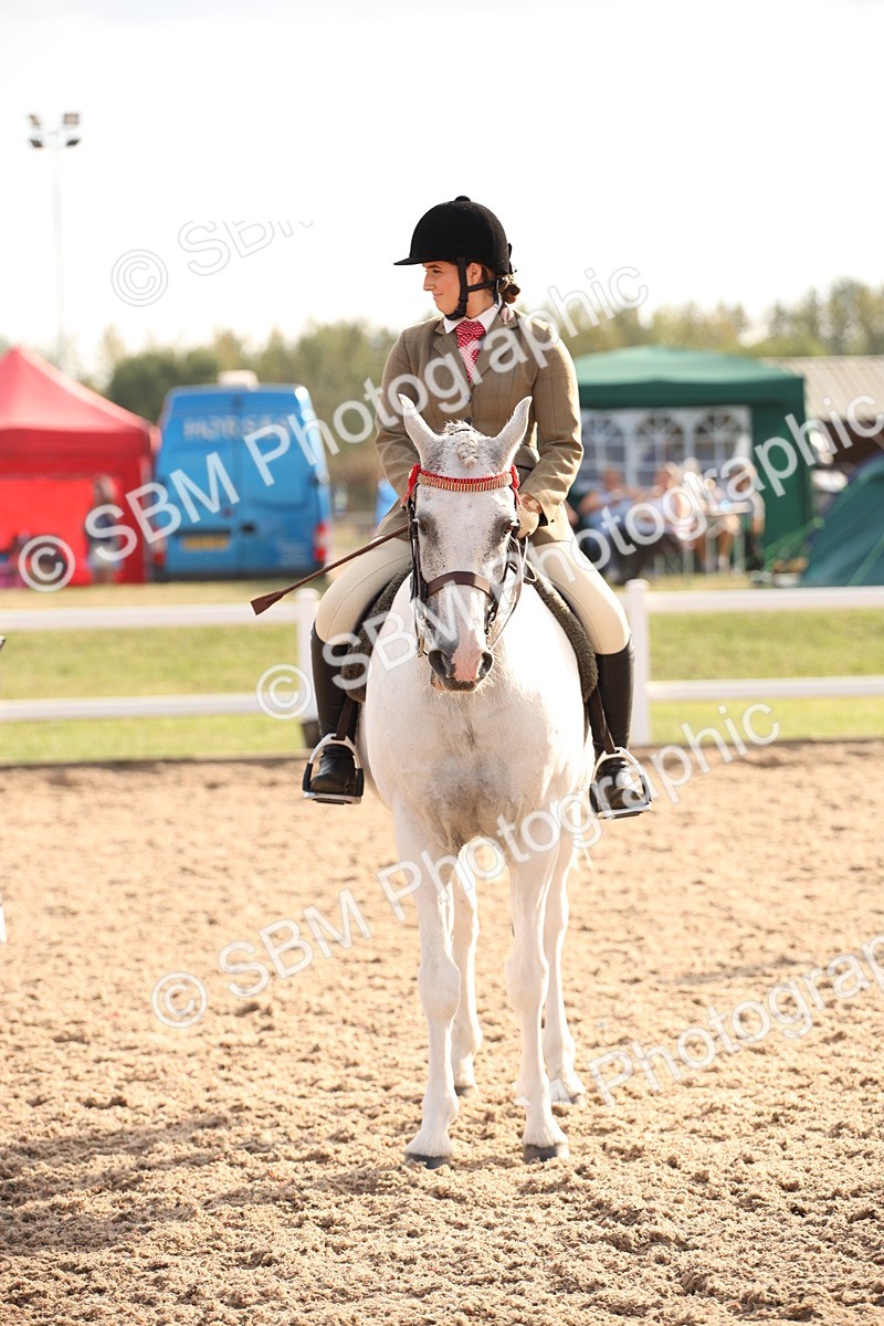 SBM_08824 - Class 12R Regional Ridden Pre-Vet