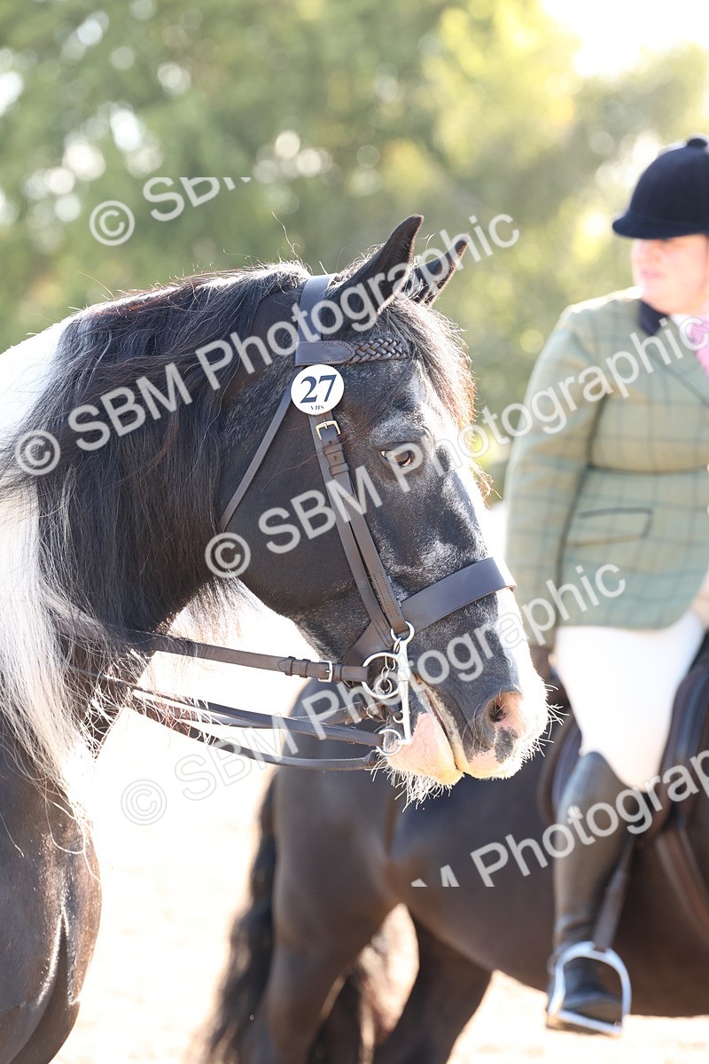 SBM_10856 - Class 202 - Best Turned Out - Ridden