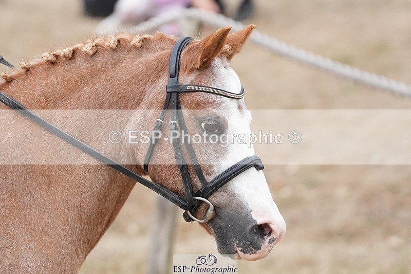 250820A-143733-08838 - Round 2, 13.45 to 14.45 Break