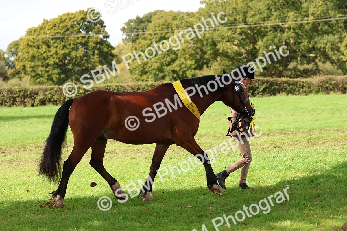 SBM_40804 - S25 -  Veteran In Hand