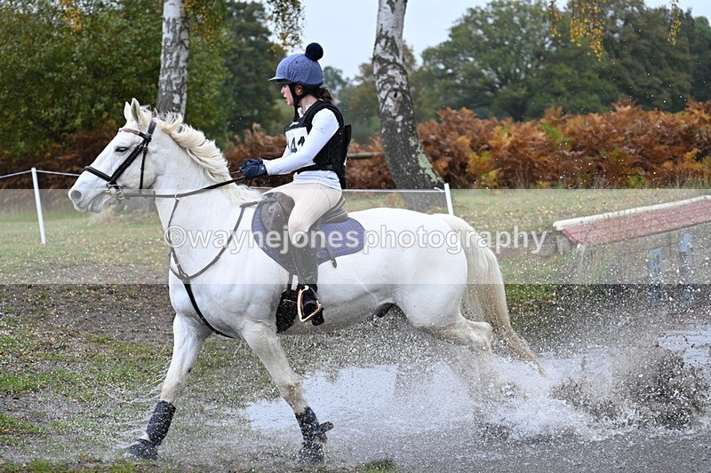 WJ7_1004 - 80cm Cam 2 Water Time 11:29 to 11:46