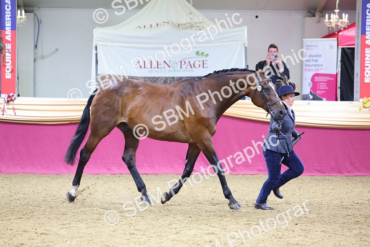 SBM_19651 - Class 901 - Supreme Final - IH Diamond