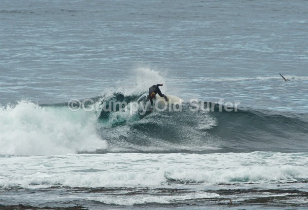 DSC_5377 - Brim Ness 15th August 2015