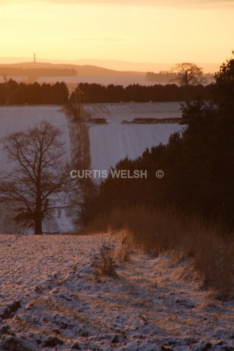 110 - SCOTTISH BORDERS