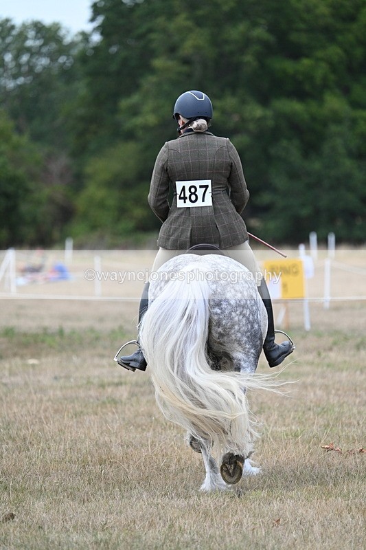 WJ7_4932 - Class 12 Ridden Cob