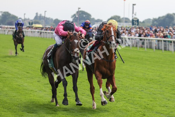 yr20082021r2-52 - Race 2 2.25pm Weatherbys Hamilton Lonsdale Cup (British Champion Series race)