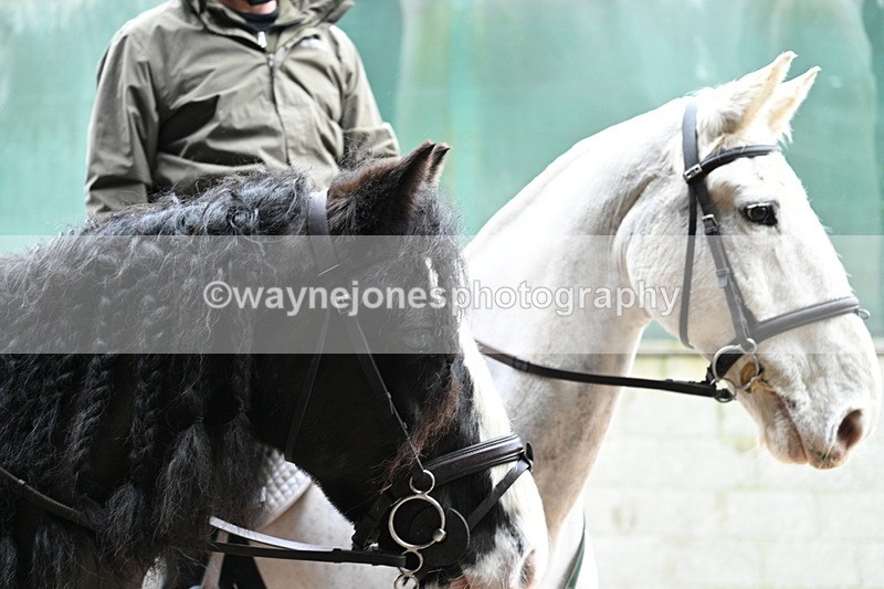 WJ7_8764 - Berks & Bucks - Rowles Farm 15-02-26