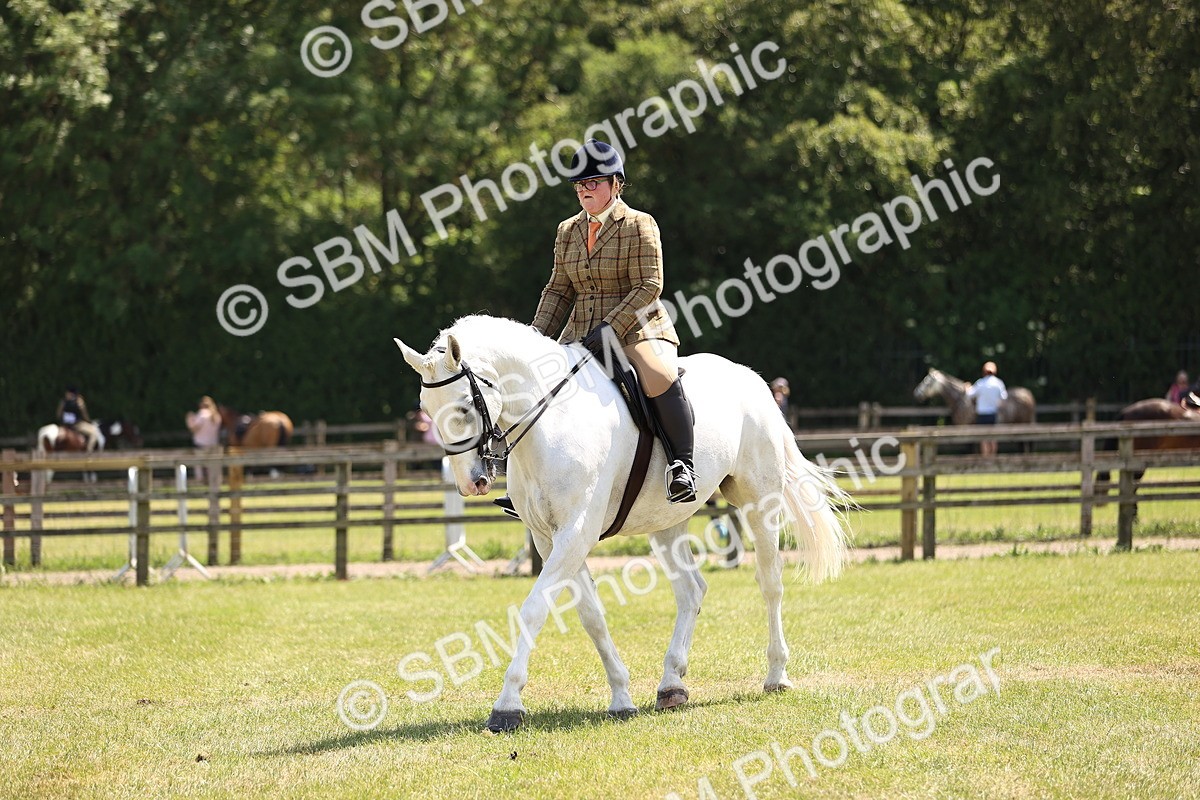 SBM_16145 - Class 79-80 - LIHS BSHA Rising Star Ridden Hunter