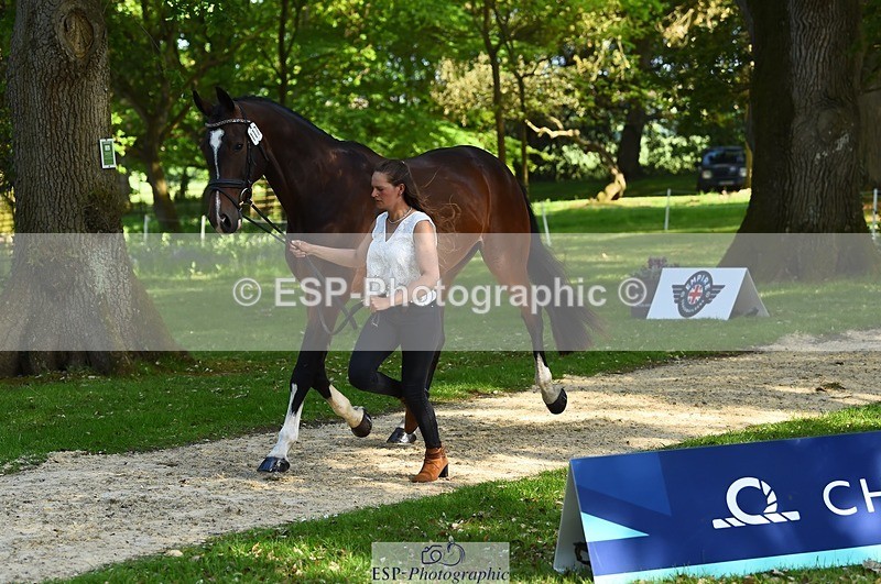 230524-165012-01122 - 117-J-Holly_Horton-WEDTrotUp+DR