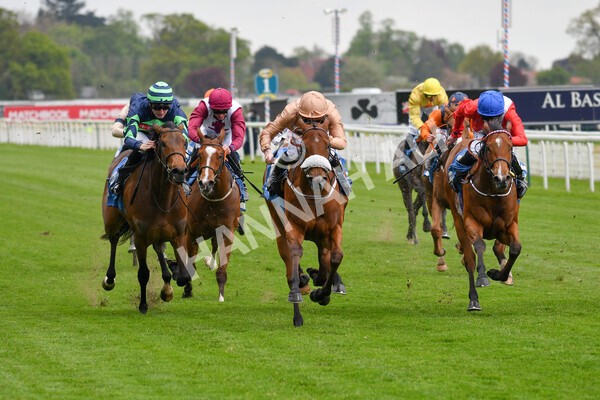 yr14052021r1-11 - Race 1 1.40pm Langleys Solicitors British EBF Marygate Fillies' Stakes