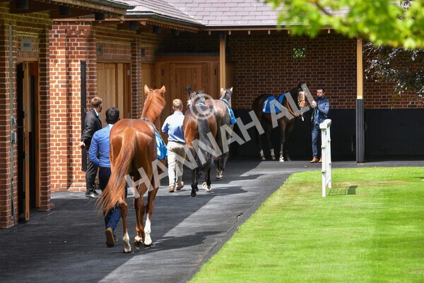 yr11062021r1-30 - Race 1 1.45pm eventmasters.co.uk British EBF Novice Stakes