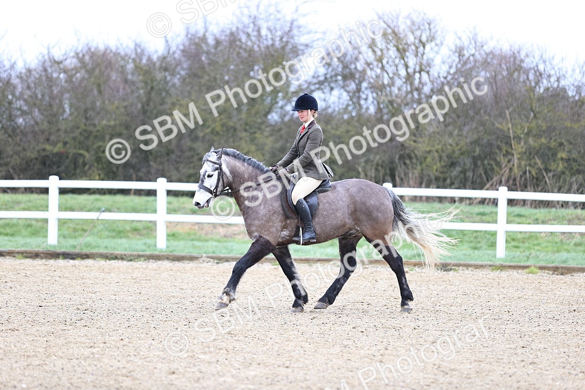 SBM_007587 - Class 31-32 - M&M Confined Novice Small-Large