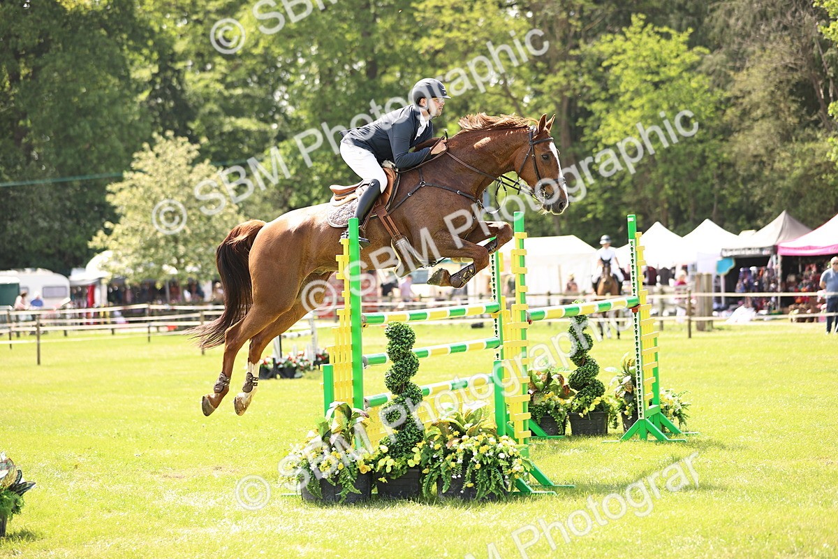 SBM_03288 - Class 201 - British Horse Feedds Speedi Beet HOYS Grade C
