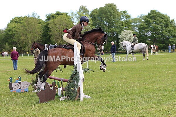 IMG_2894 - Working Hunter