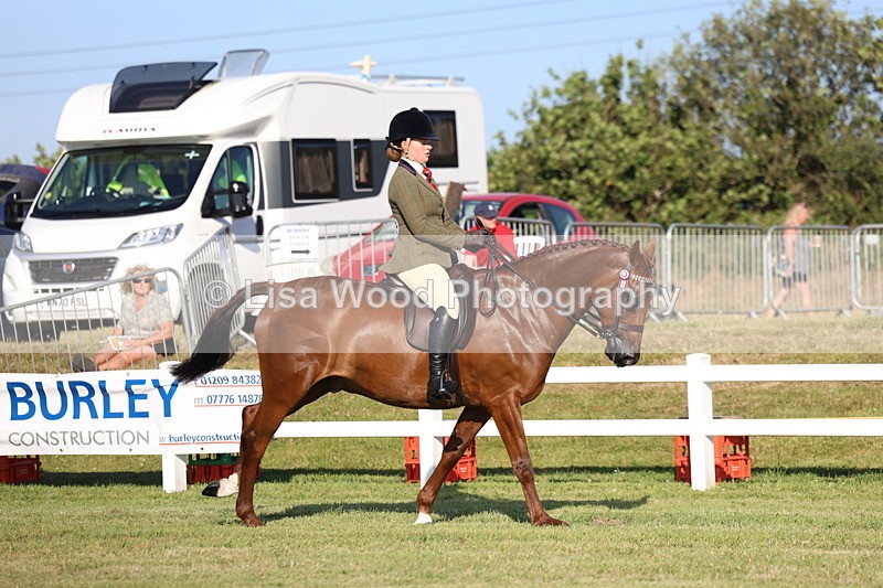 3E7A4962 - Class 1: Rising Star Small Hack/Riding Horses