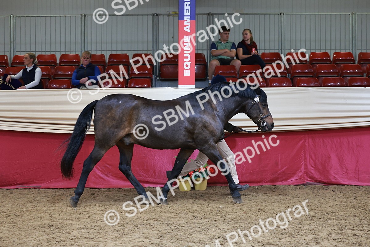 SBM_17422 - Class 951 - M&M IH Supreme Final