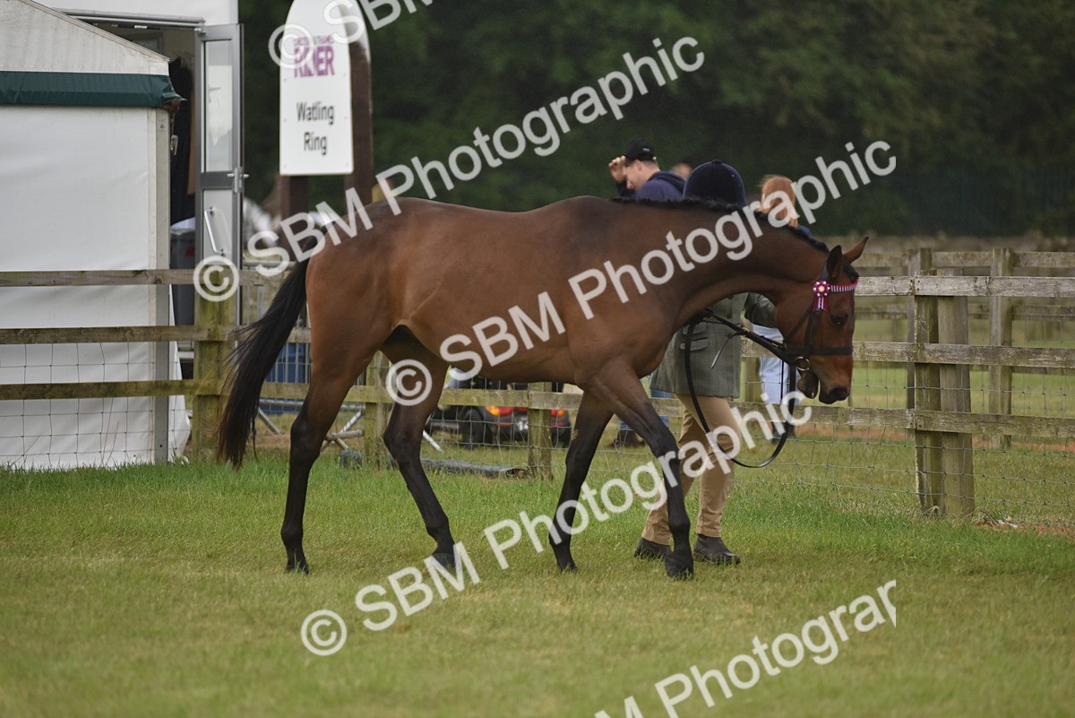 SBM_10665 - Class 109 - Retraining of Racehorses in Hand