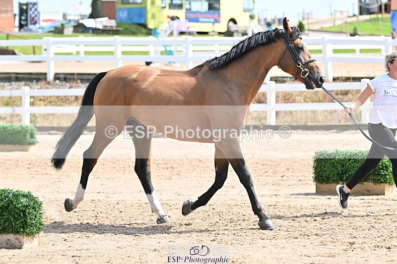 240717A-152015-02764 - Trot Up 3pm to 4pm