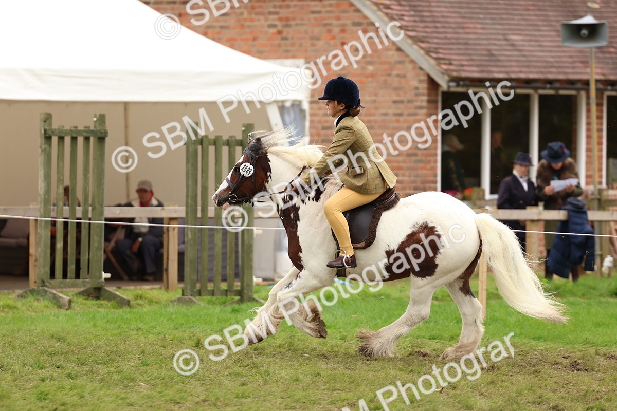 SBM_64597 - S58 - Coloured Pony Ridden