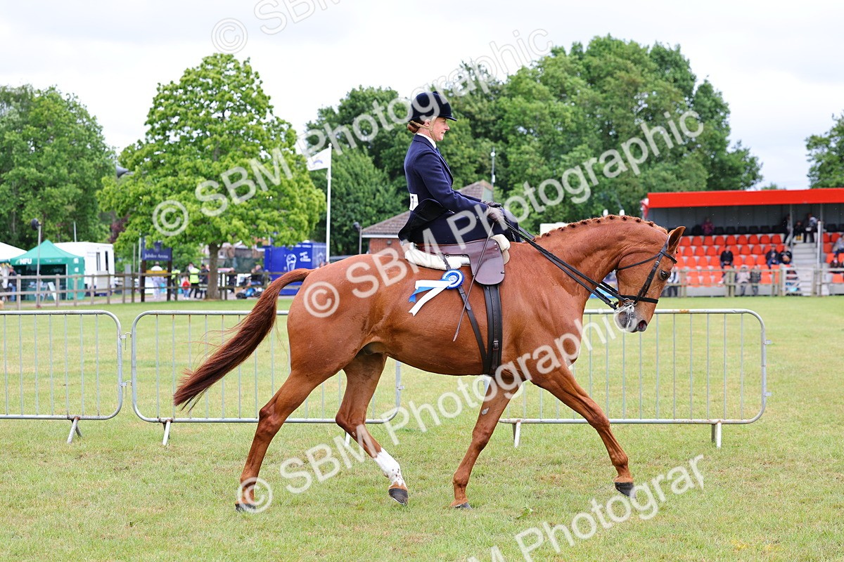 SBM_02906 - Class 9-11 Side Saddle including LIHS Rising Star Ladies Show Horse