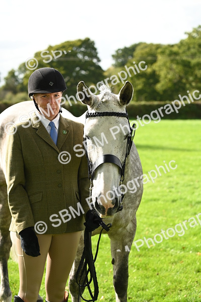 SBM_25046 - S5 - Novice & Newcomer In hand