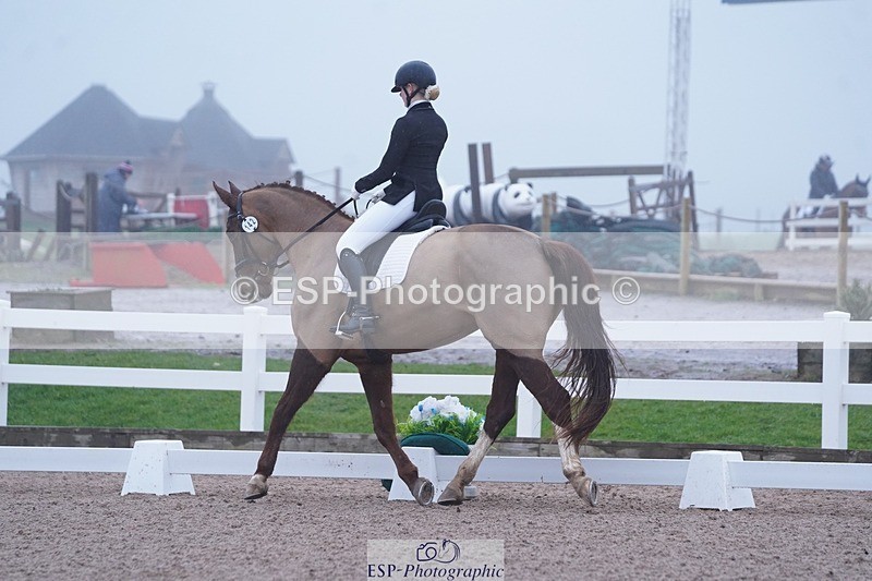 250215-094356-02688 - 142-Daisy.Hedges-Felicia.v