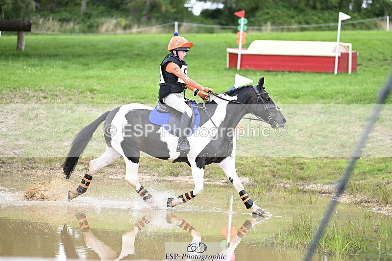 240804-144431-15446 - 555-Jack_Wish-WESTERLAKE_BUTTONWEED