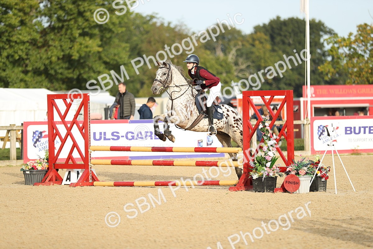 SBM_55936 - J24 - Junior Horse 75cm Championship